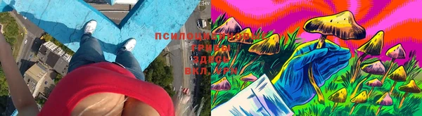 кристаллы Карпинск
