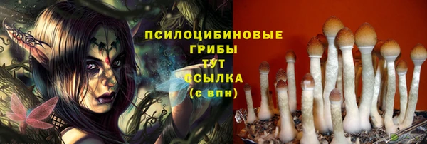 амф Карталы