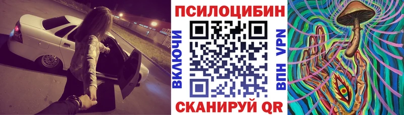 Купить где  Морозовск  Галлюциногенные грибы Psilocybine cubensis 